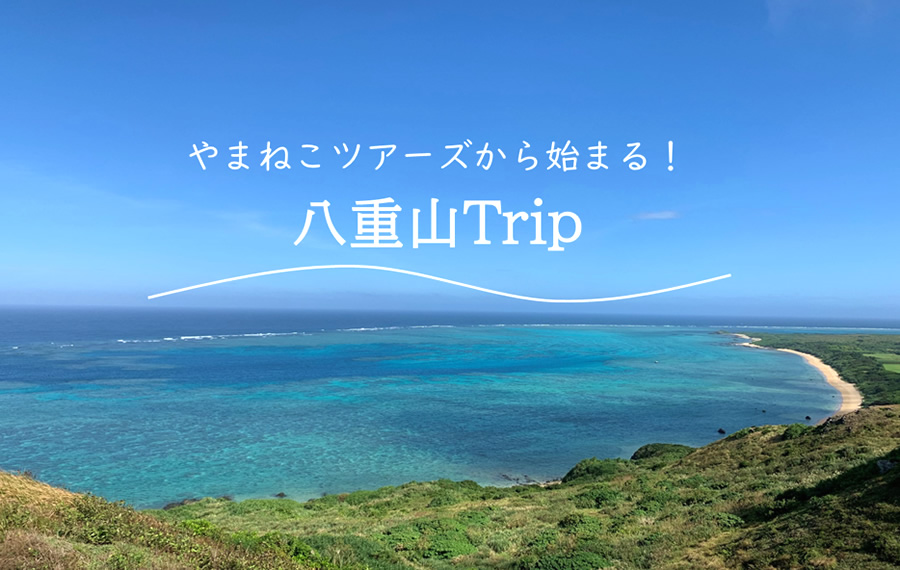 やまねこツアーズで行く西表島・竹富島・小浜島・黒島・波照間島など八重山観光旅行！